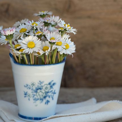 Minimalist Ceramic Vase