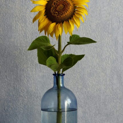 Rustic Terracotta Vase